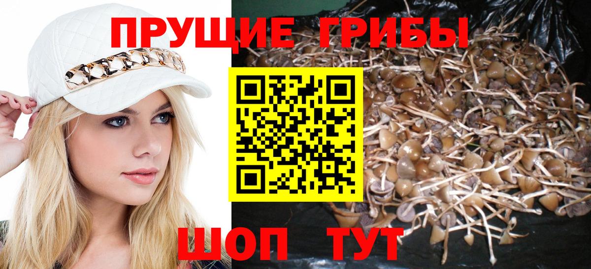 Галлюциногенные грибы Magic Shrooms Ипатово